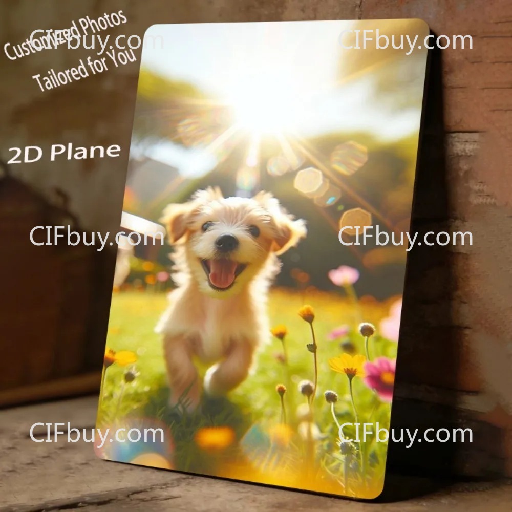 [2D Plat] 1 stuk Gepersonalise - Pet Portrait Custom recensie en prijs