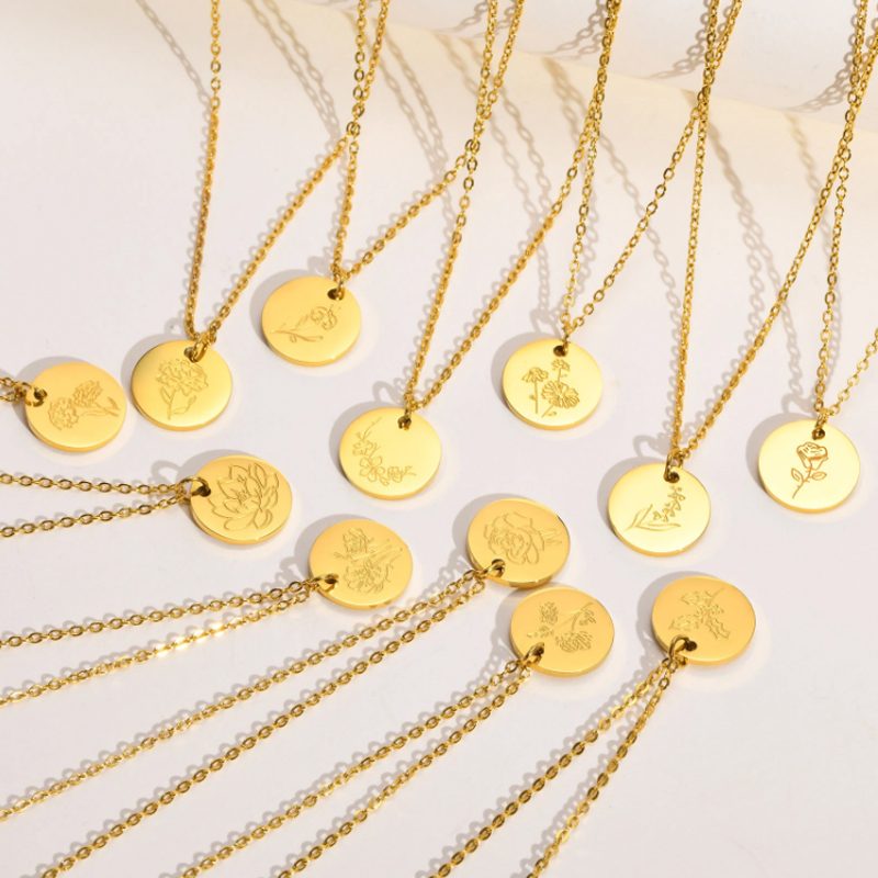 Titanium Staal December Bloem  - Birth Flower Necklace recensie en prijs